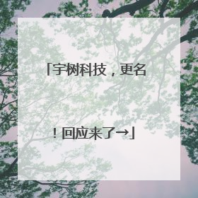 宇树科技，更名！回应来了→